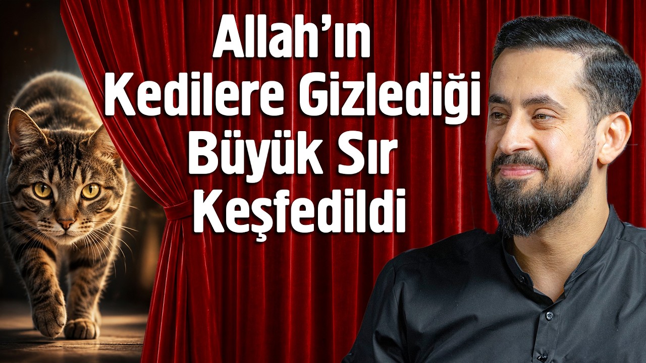 Allah'ın Kedilere Gizlediği Büyük Sır Keşfedildi - İktiran @Mehmet Yıldız