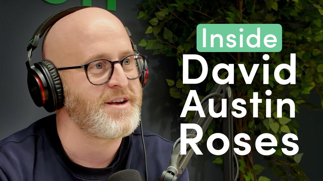 The Marketing Behind The World's Most Famous Roses