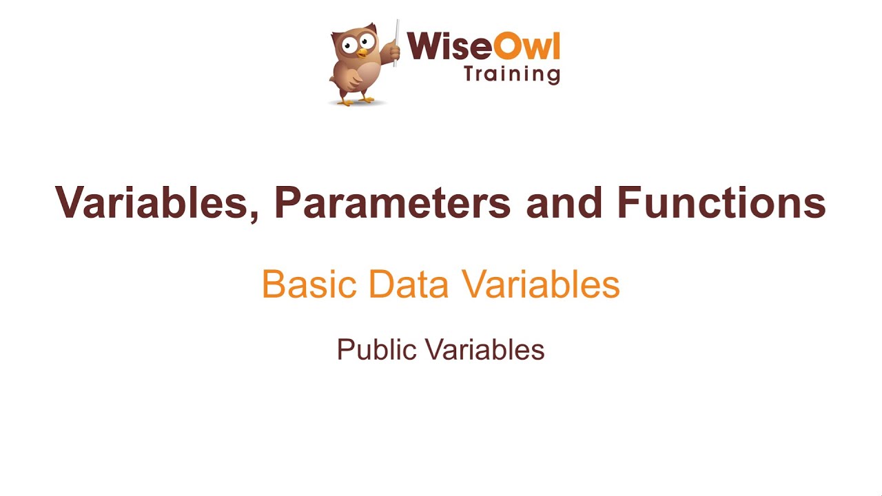 Excel VBA Online Course - 4.1.5 Public Variables