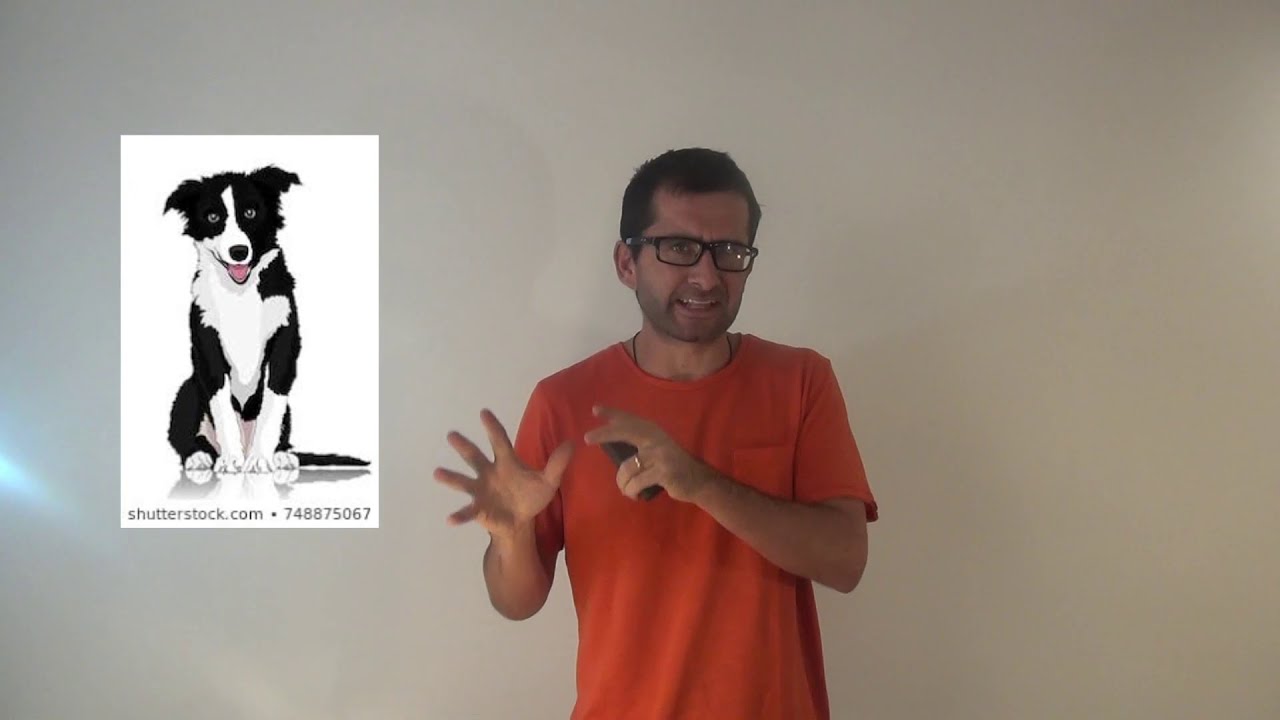 Idealismo, Nominalismo y Realismo