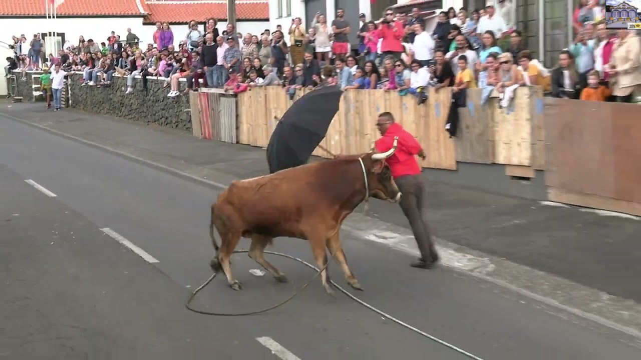 TOURADA AS PRESAS ALTARES 6 9 2023
