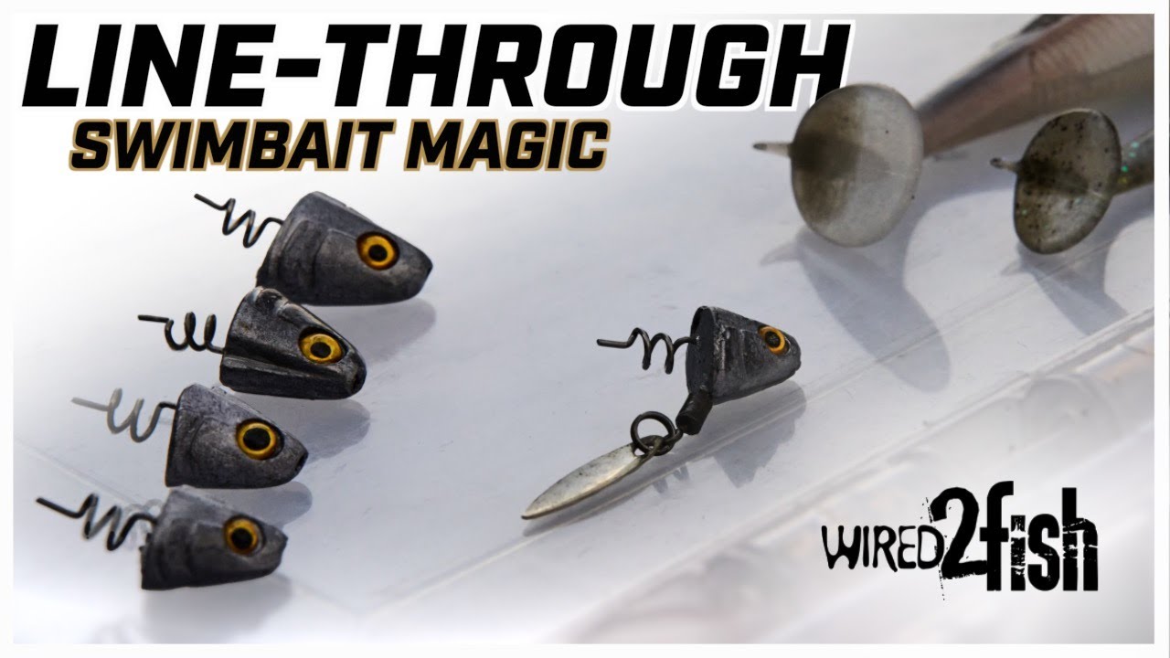 How Line-Through Jig Heads Outperform Ball Head Jigs