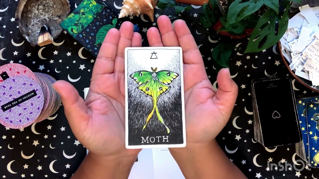 Gemini ♊️ A Very Specific Message! 🐛Caterpillars In Your Garden! ‼️✨🦋