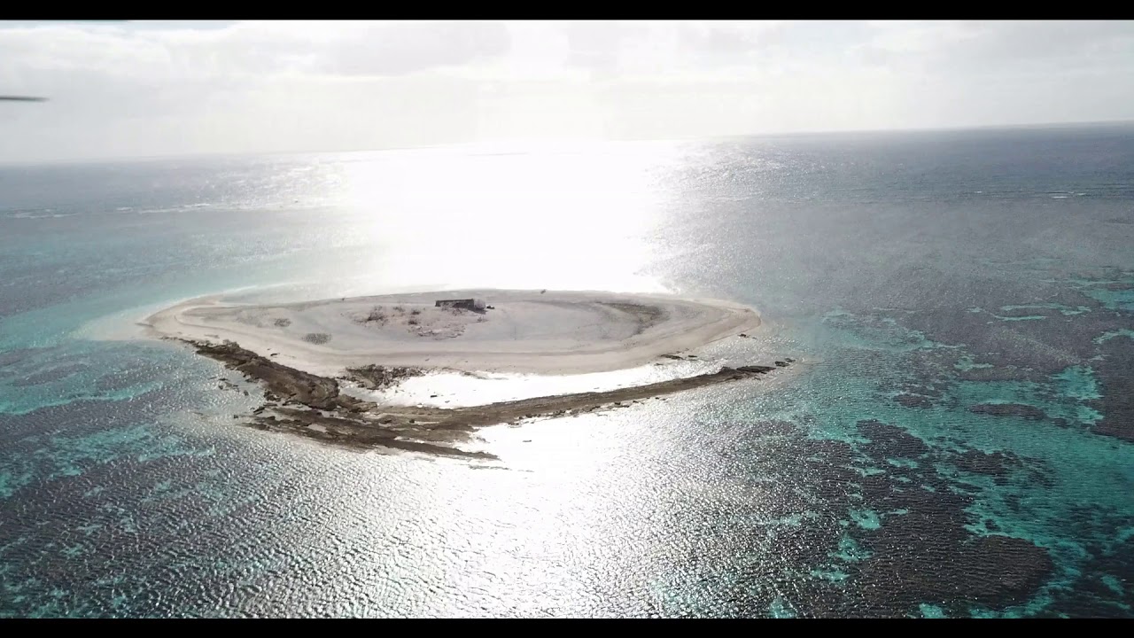 Conway Reef 3d2cr
