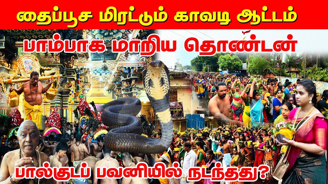 தைப்பூசத்தில்  உச்சகட்ட பரவச காவடி ஆட்டம் / யாழ்  பெண்களின் மெய்சிலிர்த்த பால்குடப்பவனி 