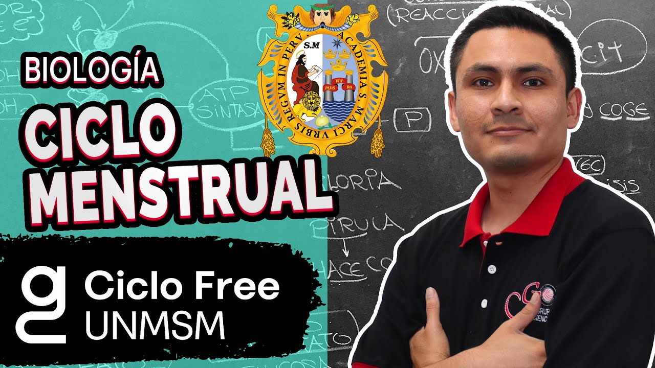 ANATOMÍA - Ciclo Menstrual [CICLO FREE]