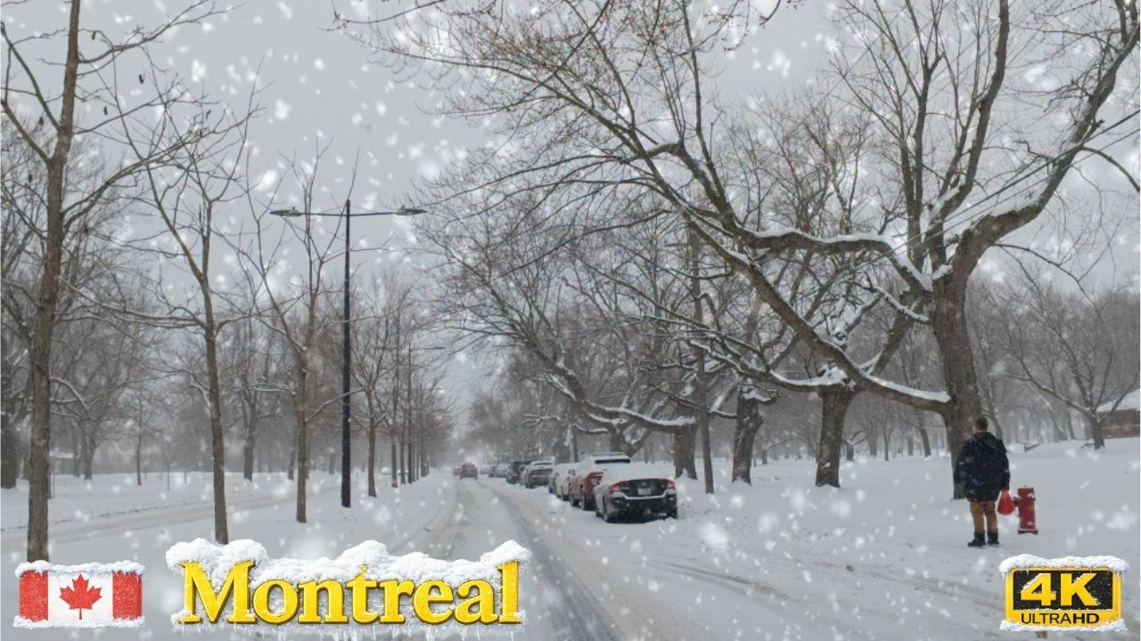 Heavy Snow Drive in Montreal Canada | I Pressed Record… and Someone Slipped on Ice ❄️