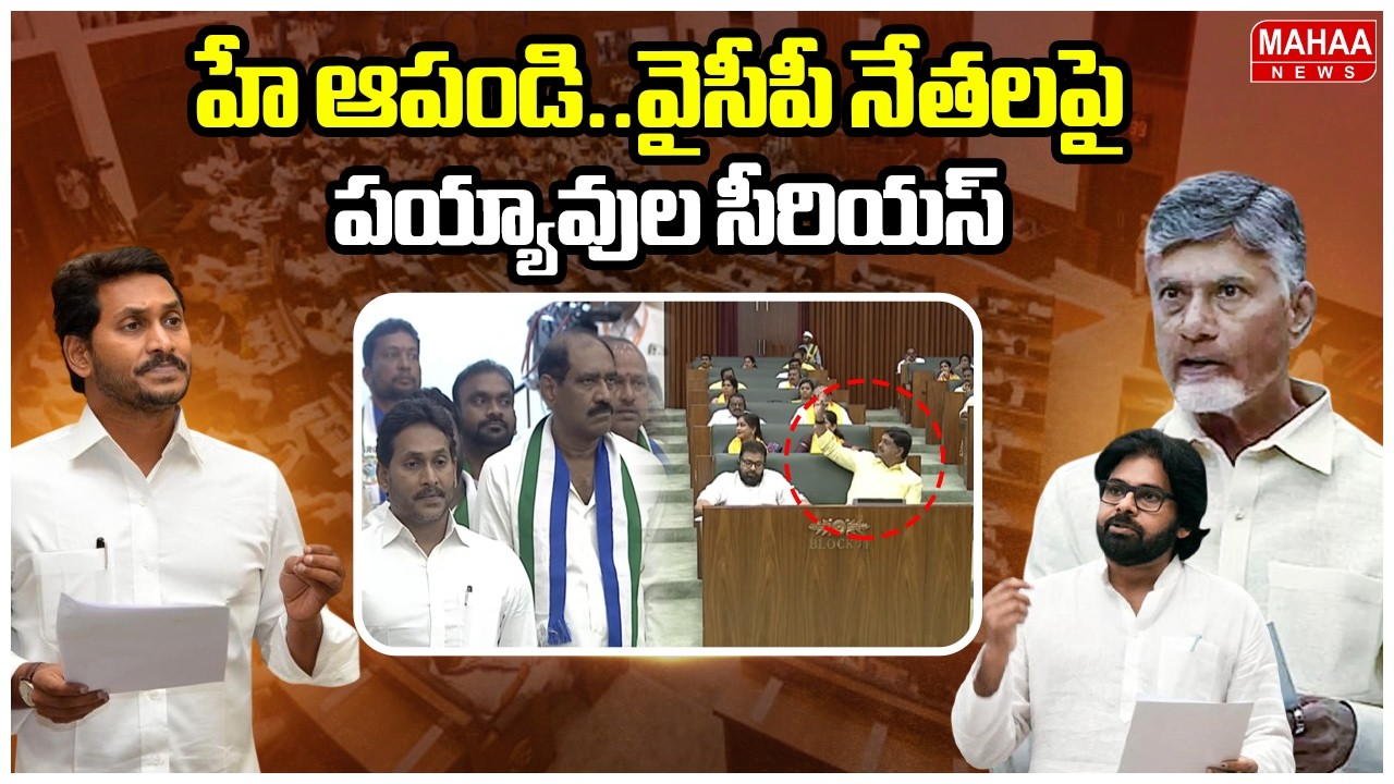 హే ఆపండి..వైసీపీ నేతలపై పయ్యావుల సీరియస్ | Minister Payyavula Keshav | Mahaa News