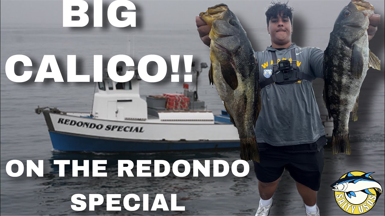 Catching Limits on The Redondo Special 