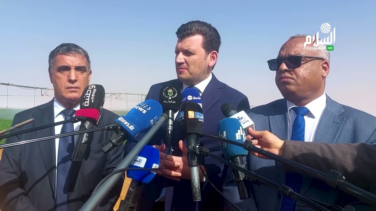أدرار توقعات بإنتاج جيد لمحاصيل الذرة الحبية الموسم القادم