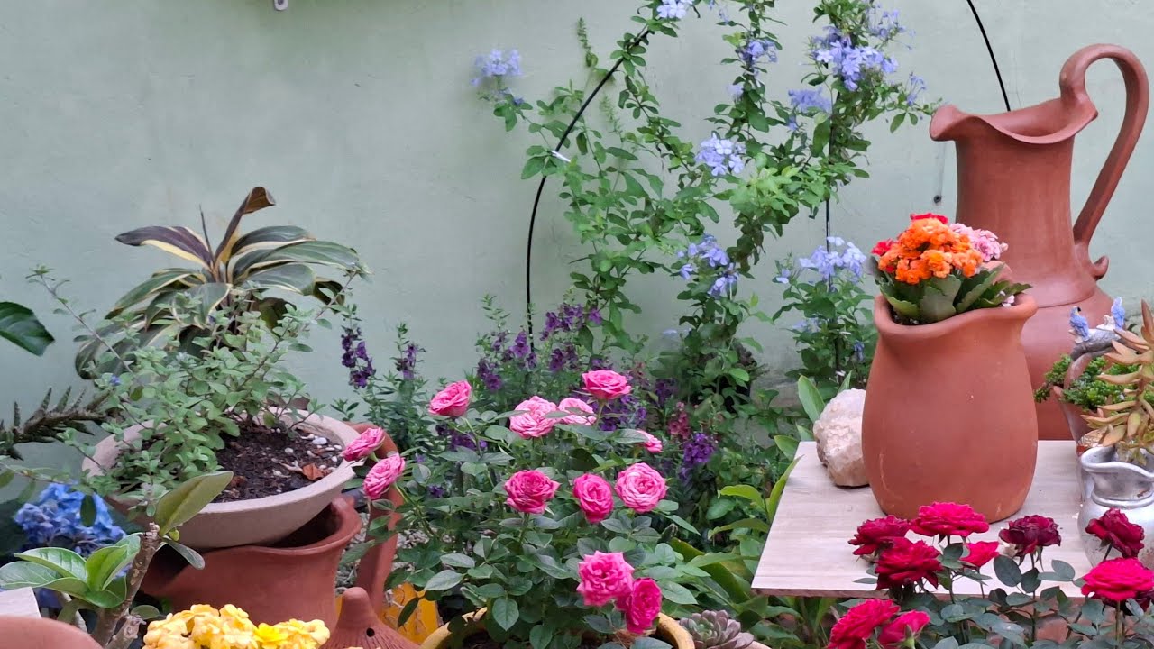 Jardim de sonhos com flores miúdas, mini rosas e suculentas 