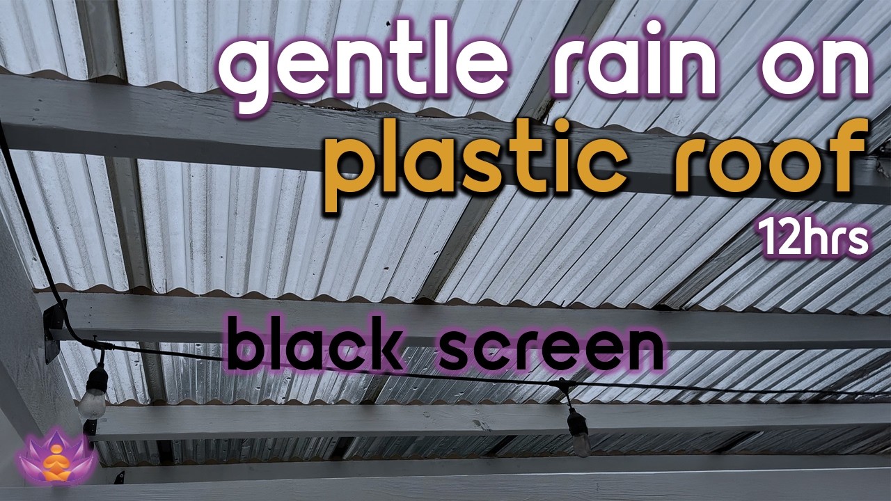 [Black Screen] Peaceful Rain on Plastic Roof – No Thunder | Rain Ambience | Rain Sounds for Sleeping