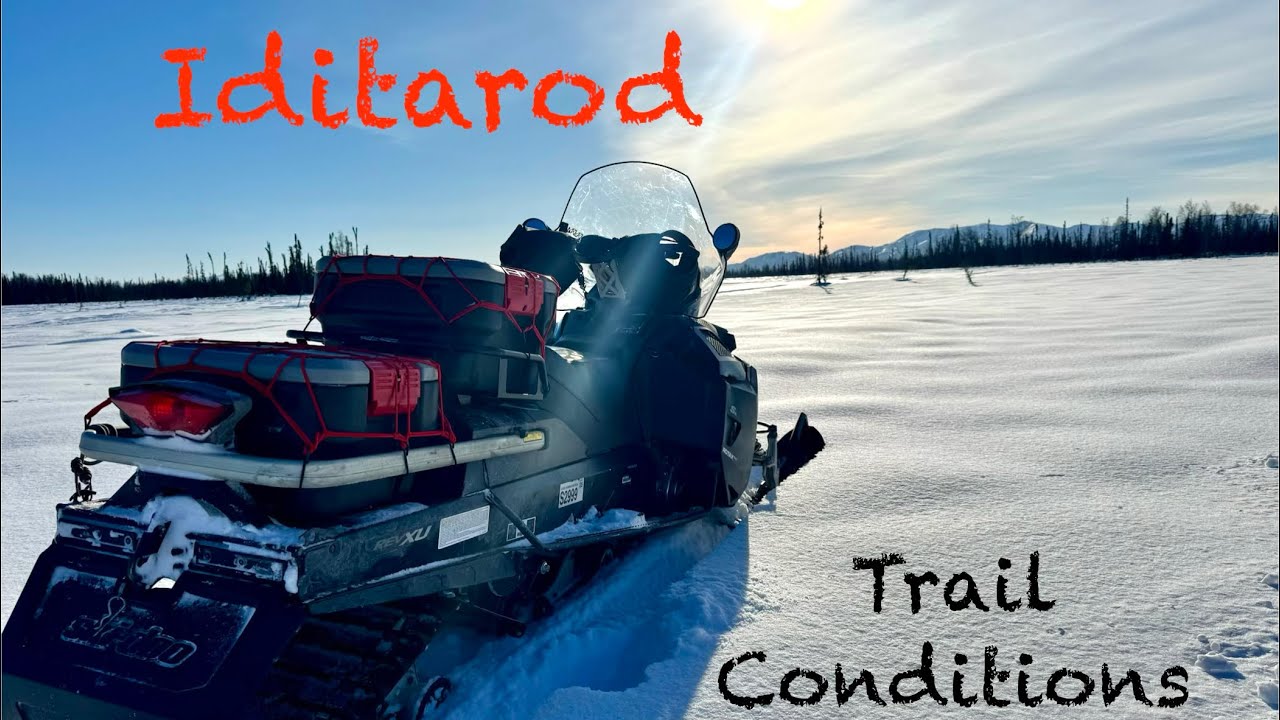 Iditarod Trail Adventure: Pre-Race Conditions and Insights!