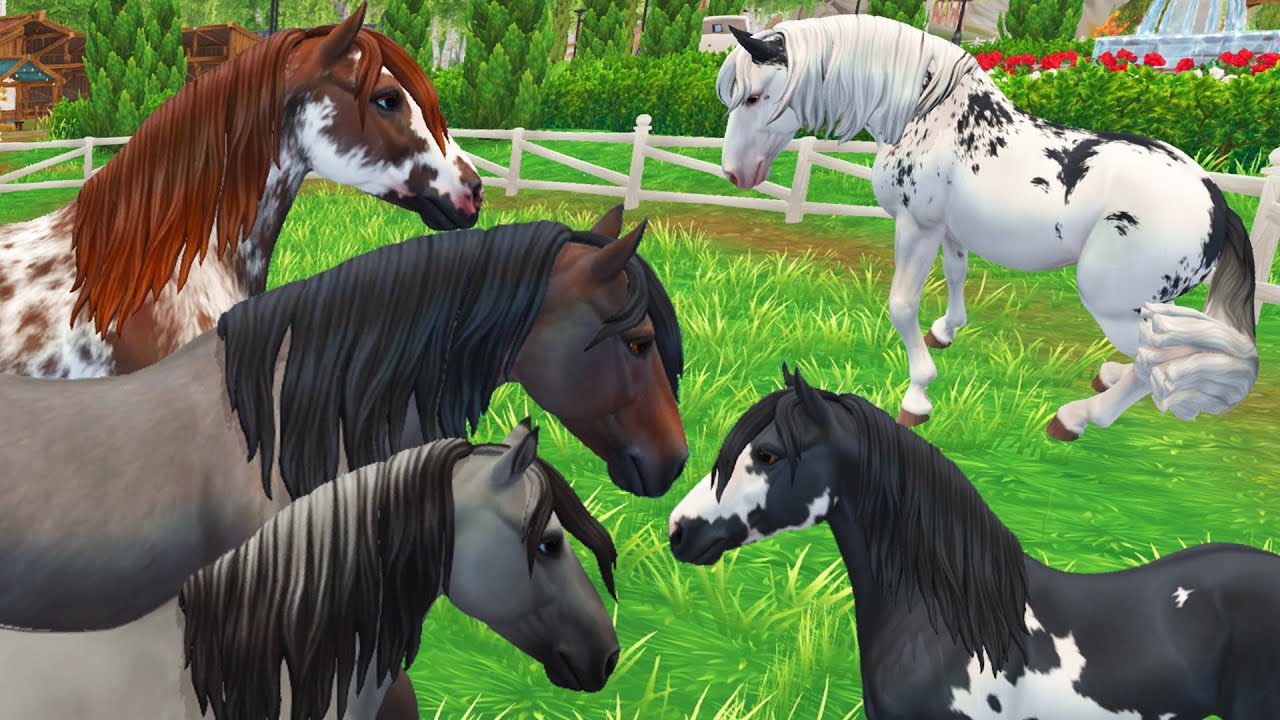 Criollo Horses Are Here