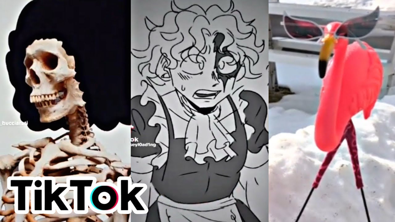 One Piece TikTok memes I found while extremely sleep deprived 