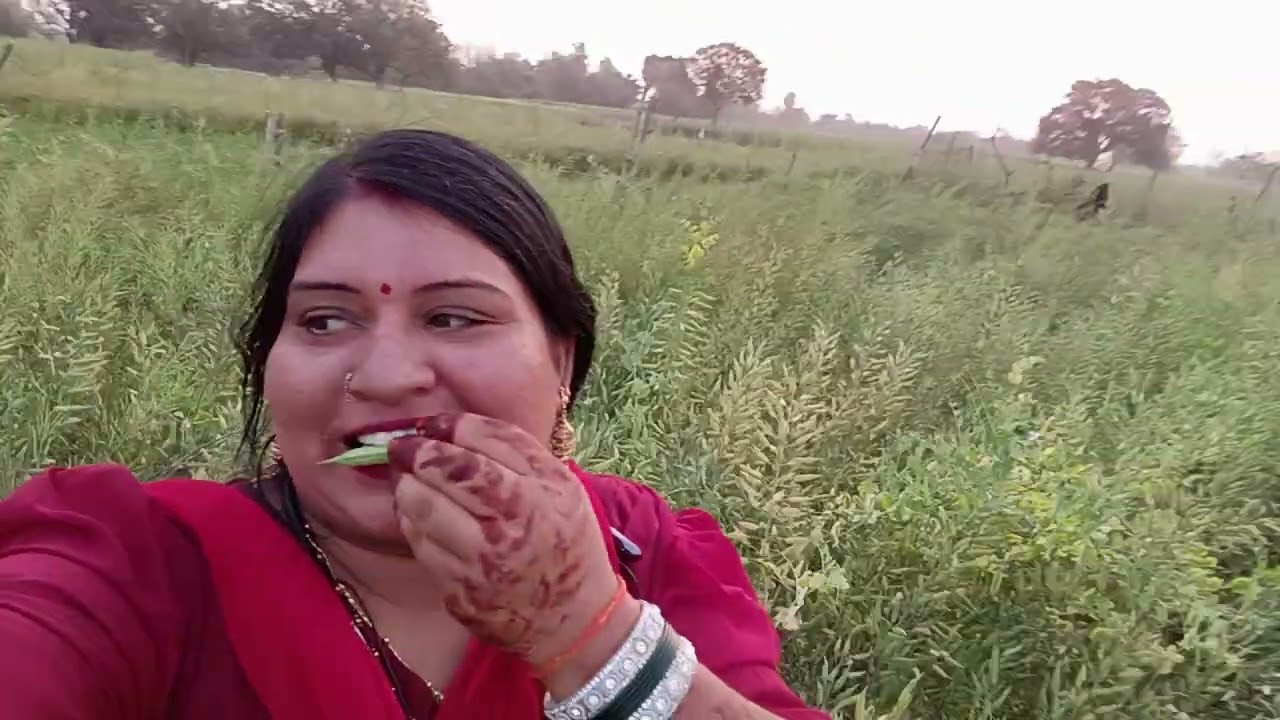 शीलू तिवारी गई अपनी बड़ी बुआ के साथ खेत देखने देखिए पूरा ब्लॉग वीडियो 