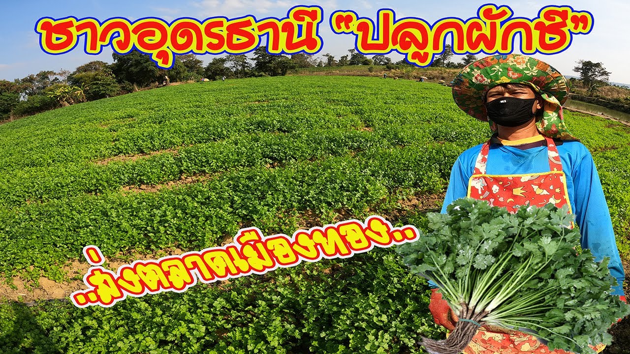 ชาวอุดรธานี 