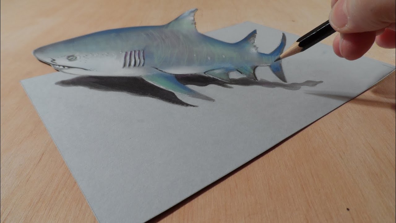Drawing a 3D Gray Shark,  Trick Art & Amazing Animals