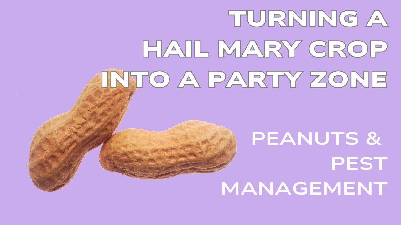 Trial Proposal: Turning a Hail Mary Crop into A Party Zone