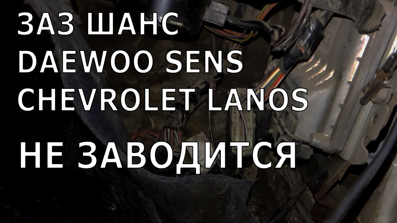 ЗАЗ ШАНС 2012 1.5л. Не заводится.