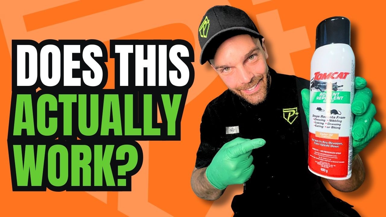 We Tried Tomcat Rodent Repellent So You Don’t Have To!