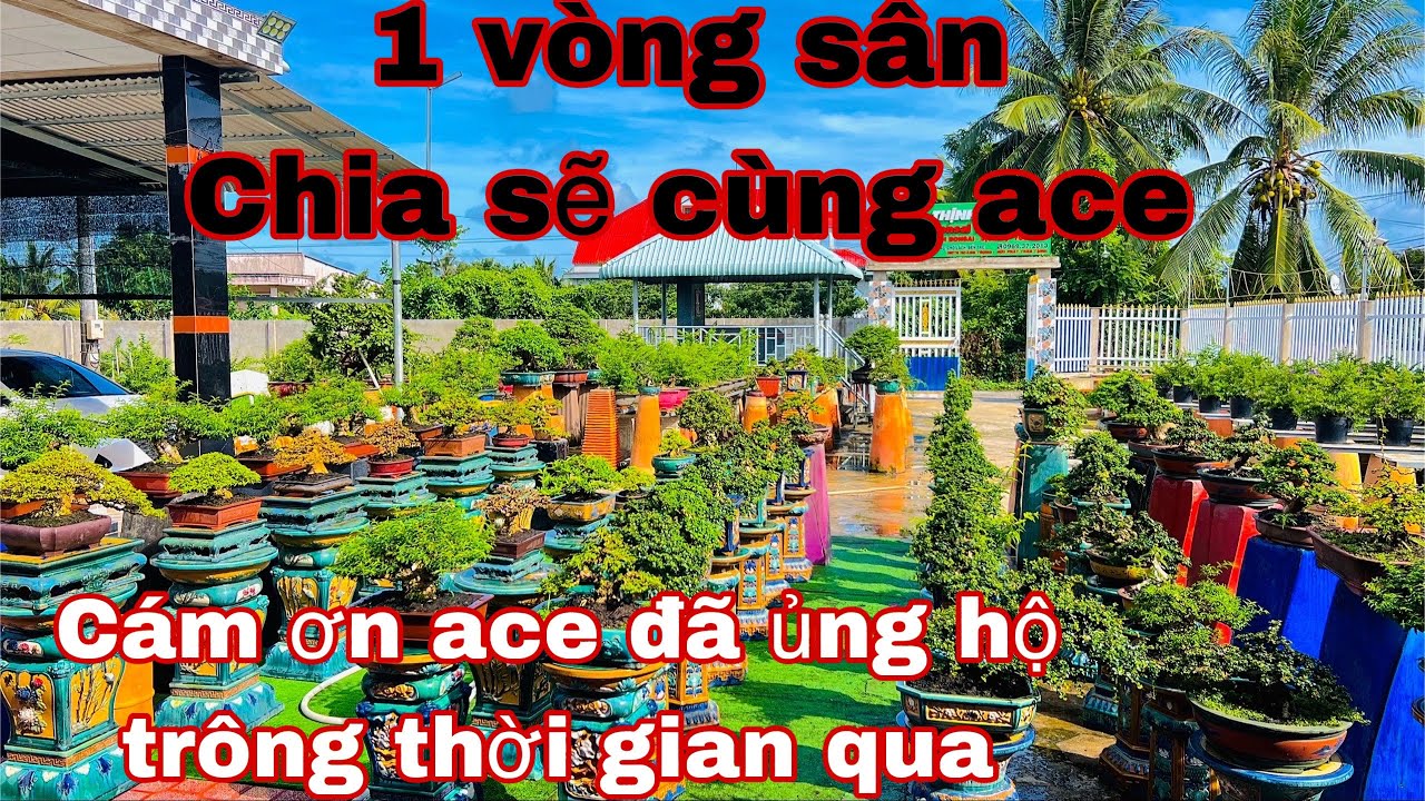 vườn bonsai phong cách , chúc ace đầu tháng gập nhiều may mắn