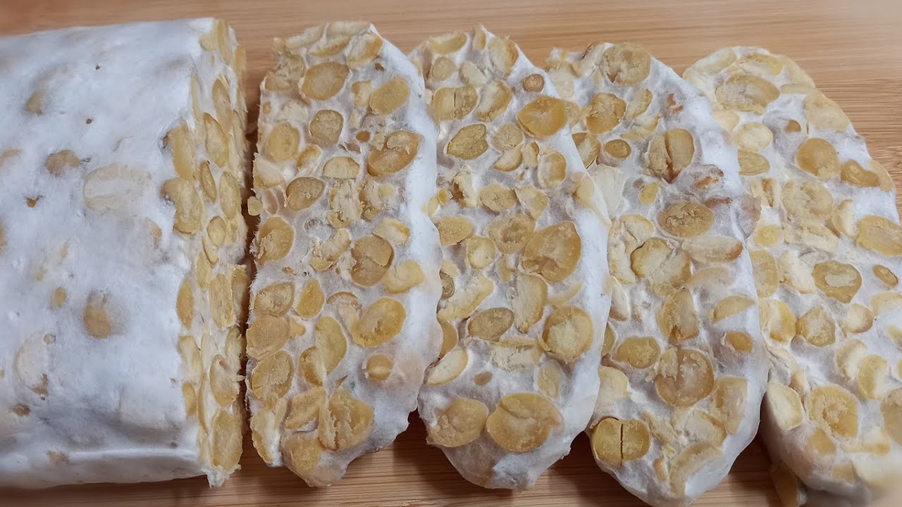 병아리콩 템페 만들기/ Chickpeas tempeh