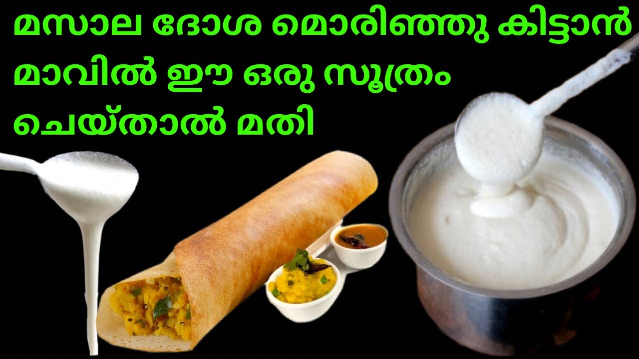 മസാല ദോശ മാവ് ശരിയാവാൻ ഈ ഒരു രഹസ്യം ചെയ്തു നോക്കൂ | Perfect masala dosa better recipe in Malayalam