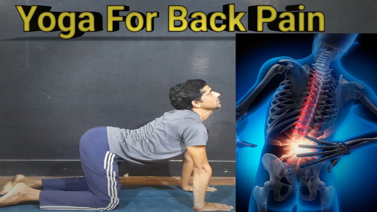 Yoga For Back Pain || पीठ दर्द के लिए योग || Yoga With Gaurav Saini