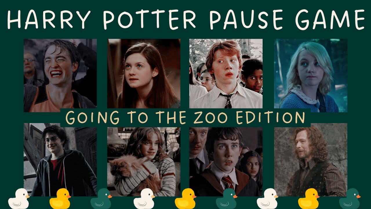 IN THE ZOO EDITION | HARRY POTTER PAUSE GAME