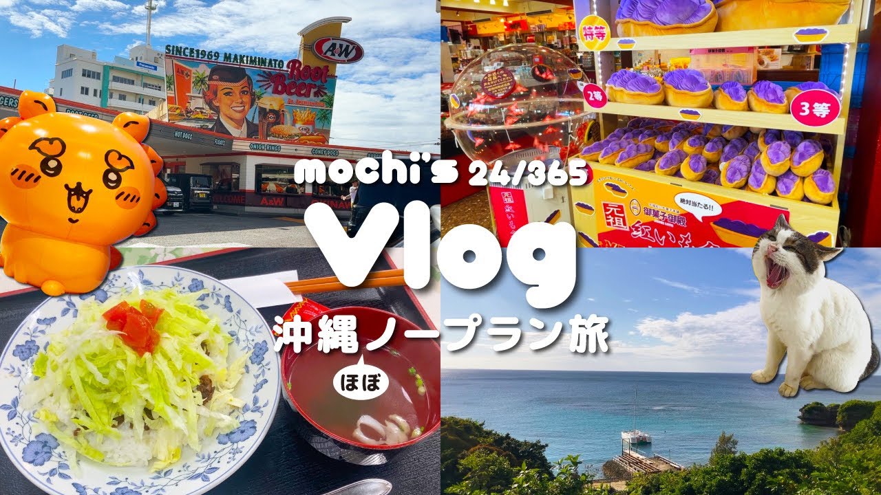 【Vlog】沖縄ほぼノープラン旅|奥武島 |ホエールウォッチング🐳