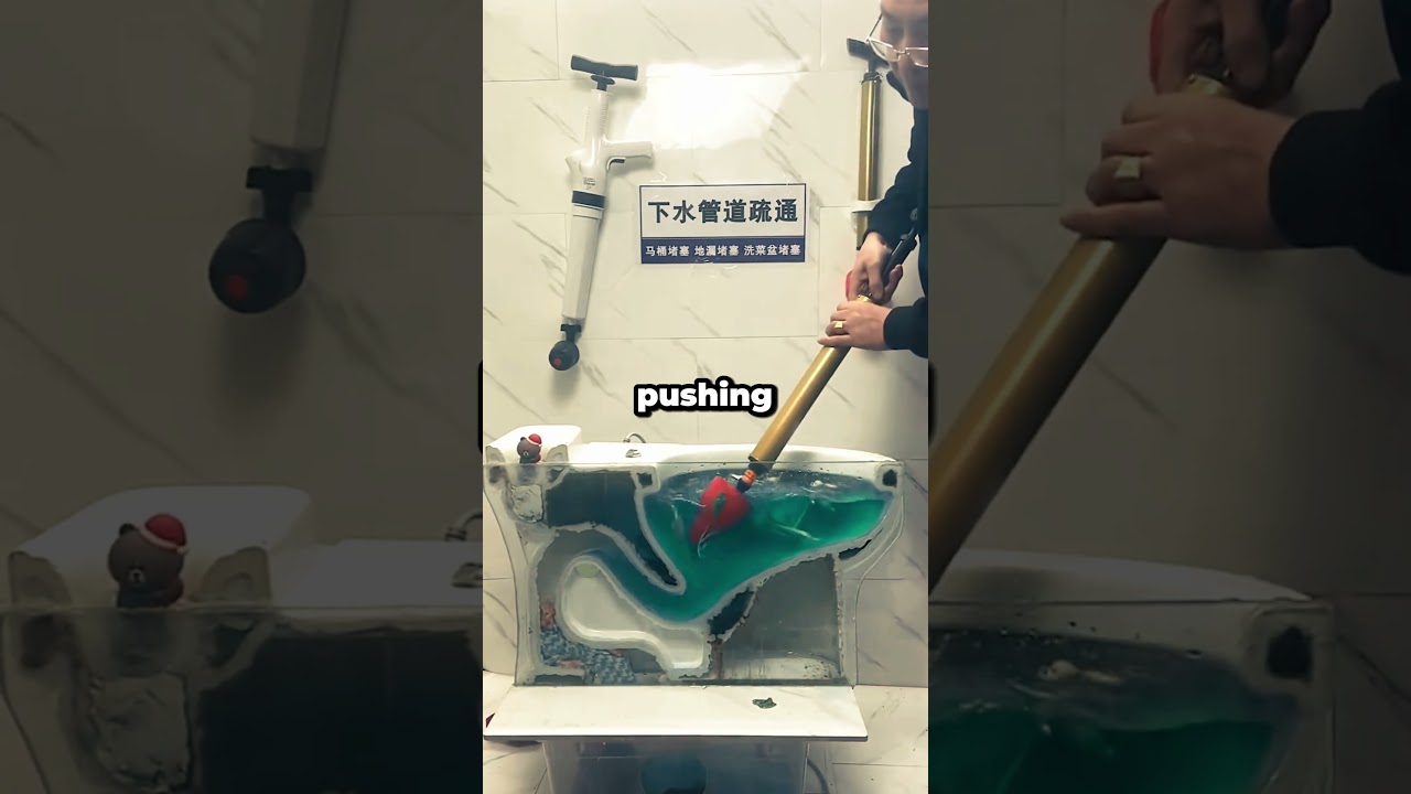 How does the toilet plunger work?