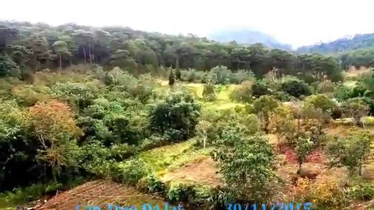 Cáp Treo Đà Lạt 30/11/2015