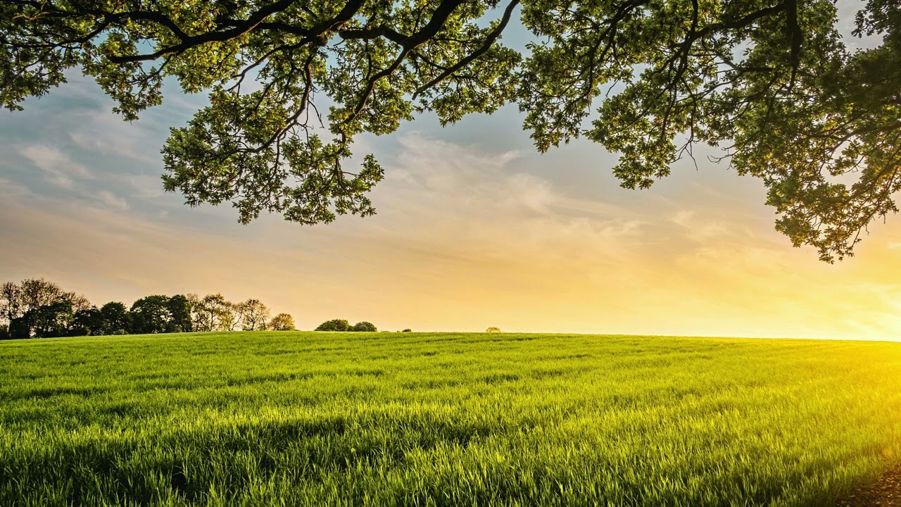 Morning Country Gospel Worship for Anxiety, Focus & Productivity | Calm Work & Prayer Music