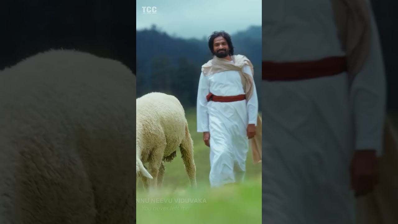 నన్ను నీవు మరువక నన్ను నీవు విడువక II Telugu Christian Status Videos II 
