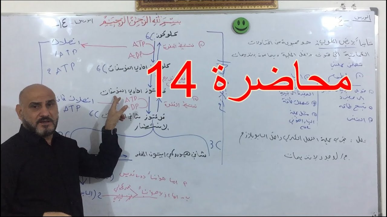 احياء السادس العلمي الفصل الاول الخلية محاضرة 14/ الايض الخلوي التحلل السكري