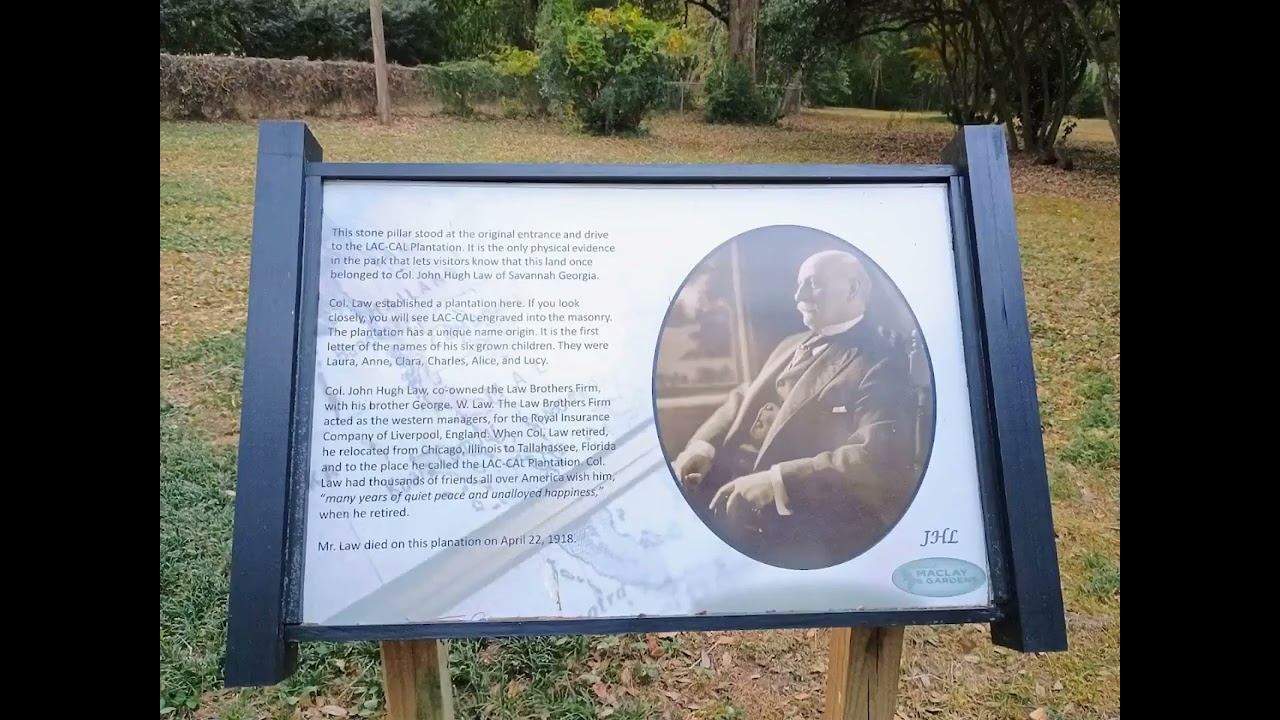 Alfred Maclay Park, Tallahassee and Falling Creek, Florida November 2025