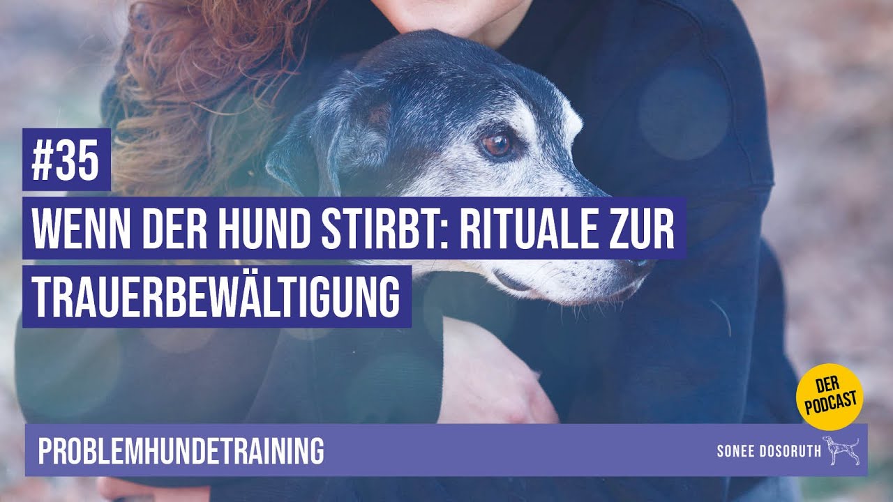 #35 Wenn der Hund stirbt: Rituale zur Trauerbewältigung