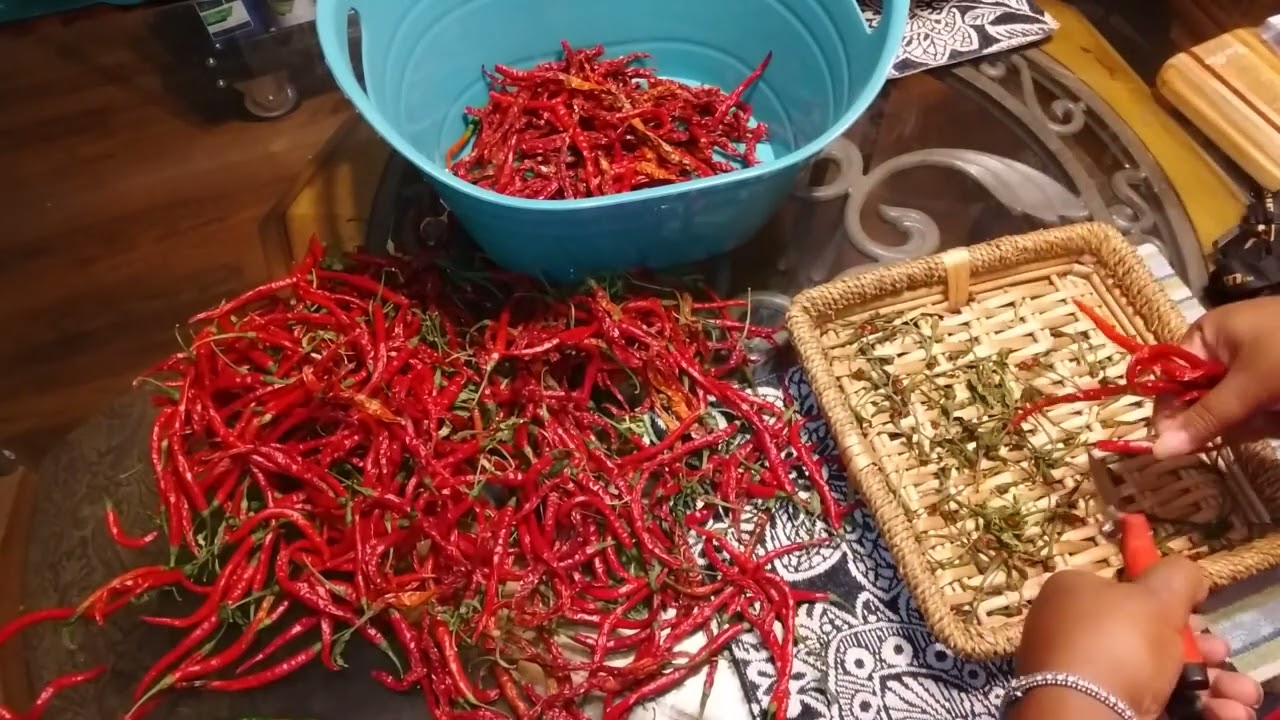 How To Make Cayenne Powder Using Harvest Right Freeze Dryer