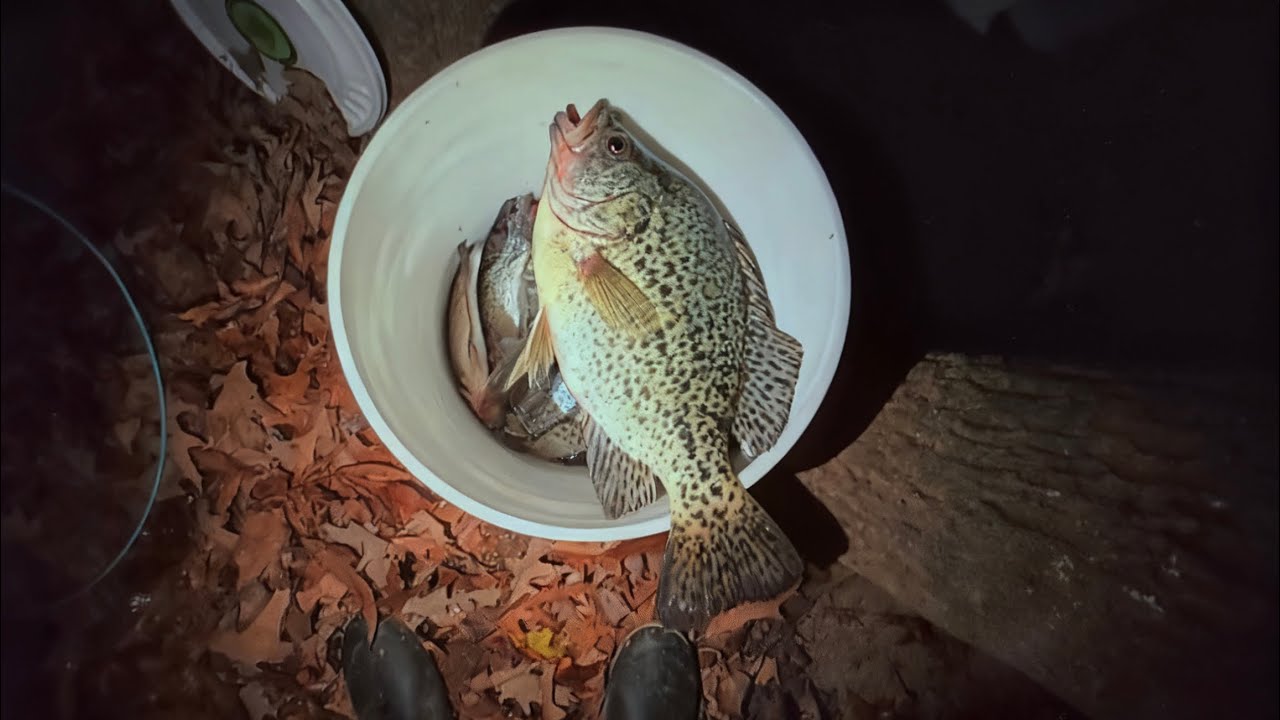 pesca de crappie en northe carolina