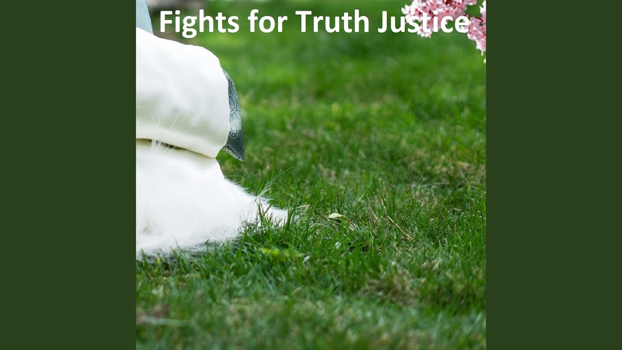 Fights for Truth Justice