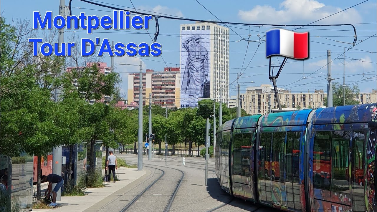 Montpellier : Visite Tour d'Assas