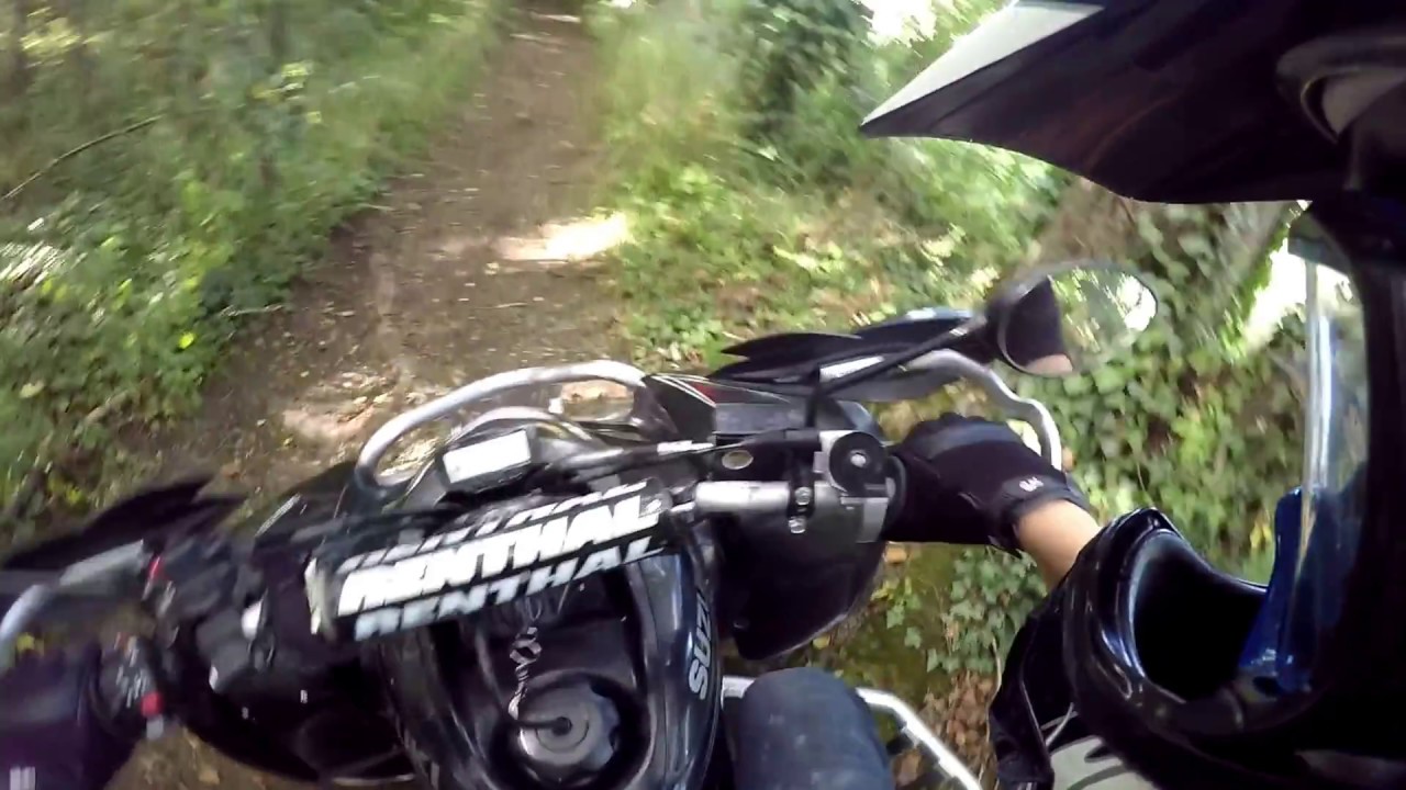 Balade dans les bois 400 ltz