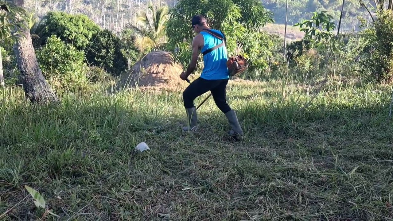 Testando  sthil 160 teste real,capim alto e mato brabo. 