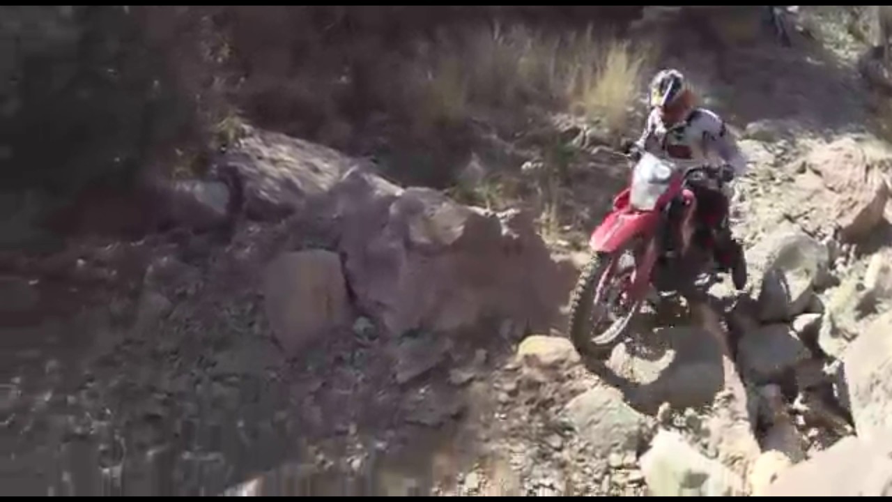 Veloci xeverus 200cc KOR
