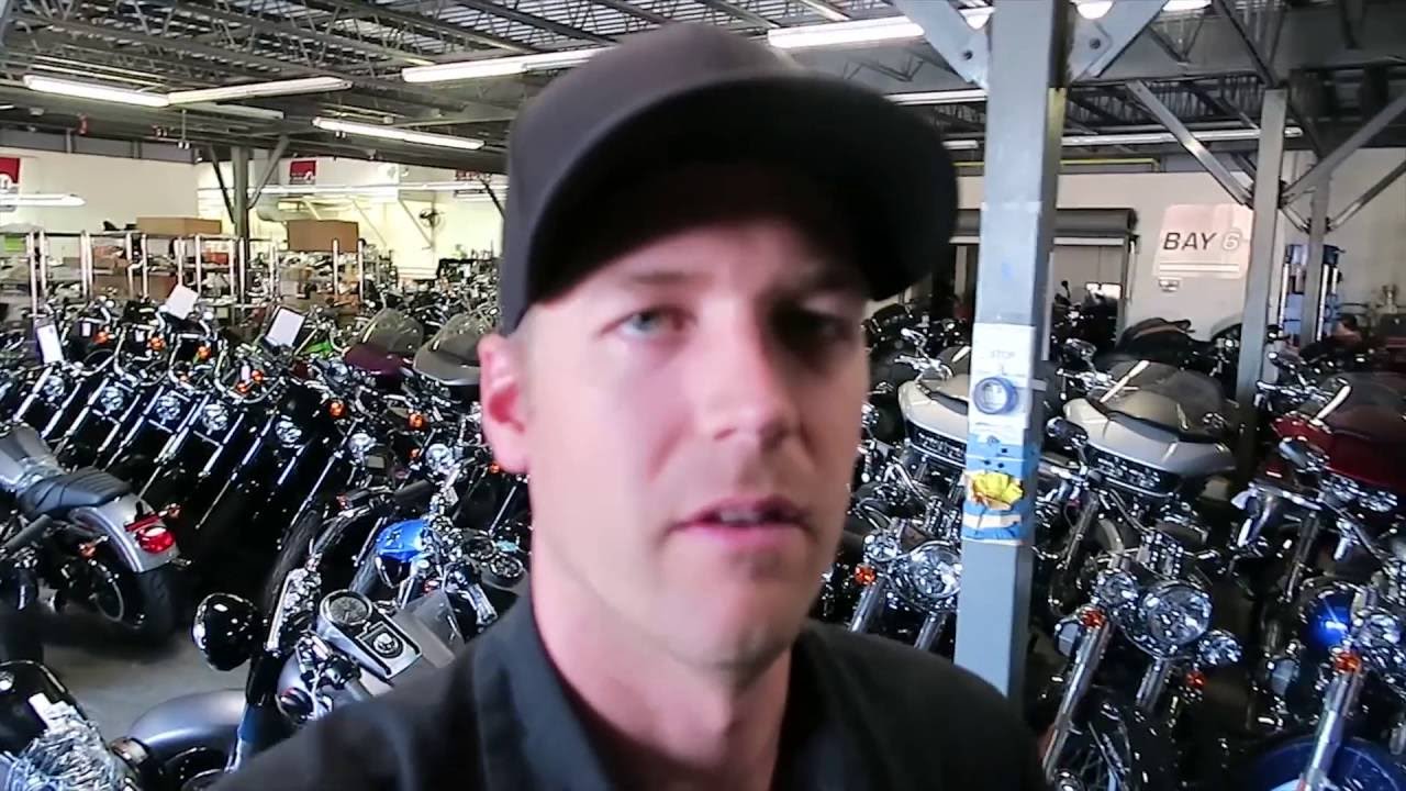 Customizing a 2016 Harley Roadster: How should I do it?