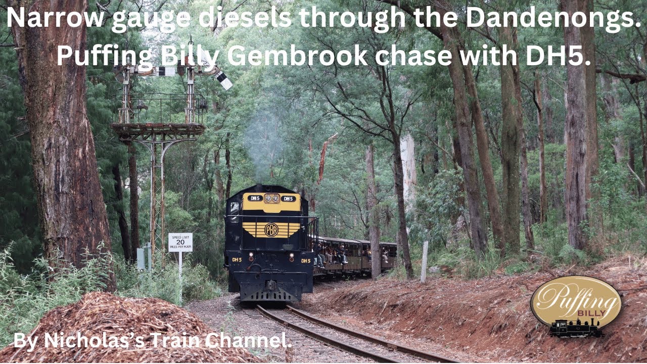 Narrow gauge diesels through the Dandenongs. Puffing Billy Gembrook chase with DH5. 16/02/25.