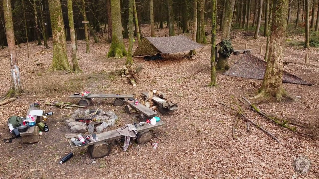 Bivouacs forêt de Saint-Hubert avec Ludo et Silent Fox