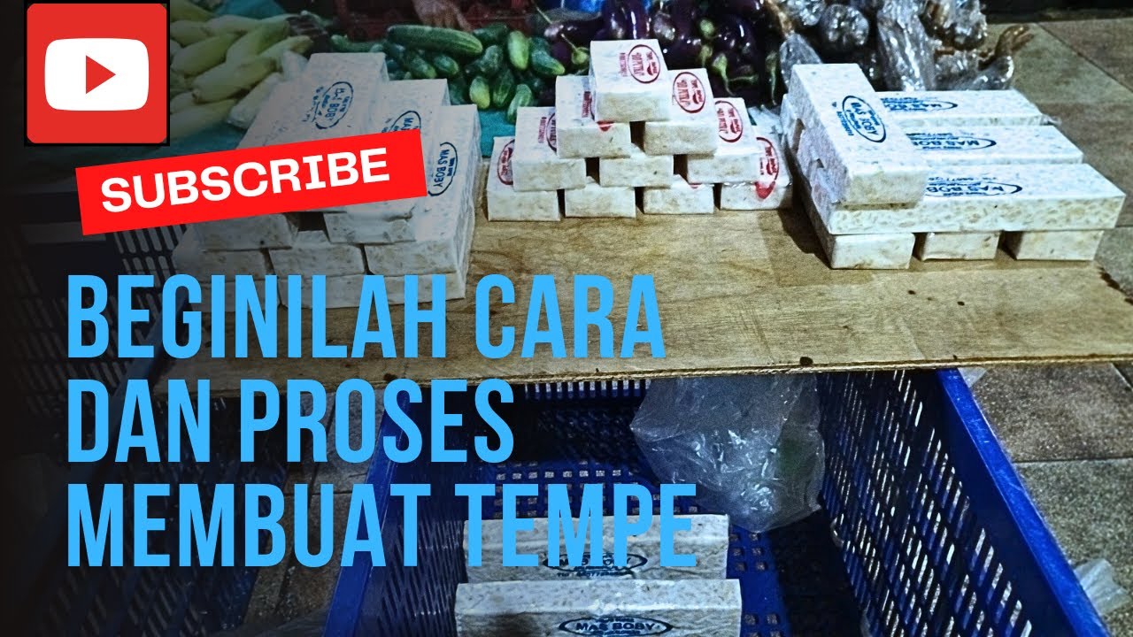 Pabrik tempe Cara Membuat Tempe Kedelai untuk pemula dari awal sampai akhir