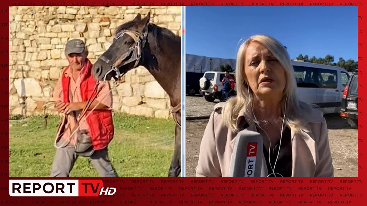 Vrau me thikë 42-vjeçarin në Berat, DËSHMIA e autorit: I thashë mos e prek kalin se është i acaruar